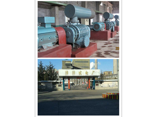 電廠氧化脫硫ARF羅茨風(fēng)機